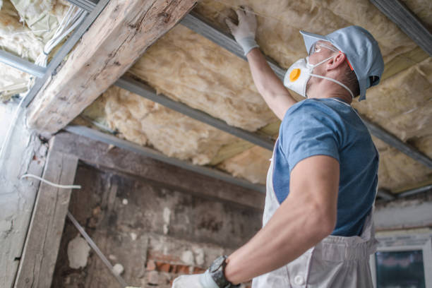 Best Geographic-Specific Insulation Services in Piketon, OH