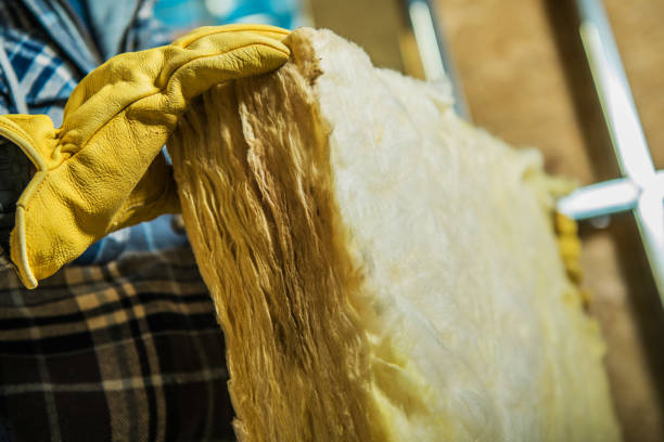 Best Eco-Friendly Insulation in Piketon, OH